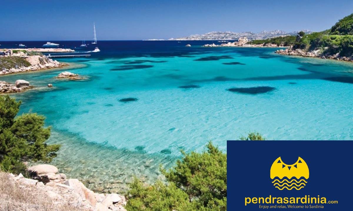 gruppo-5-progettazione-sardegna-pendrasardinia